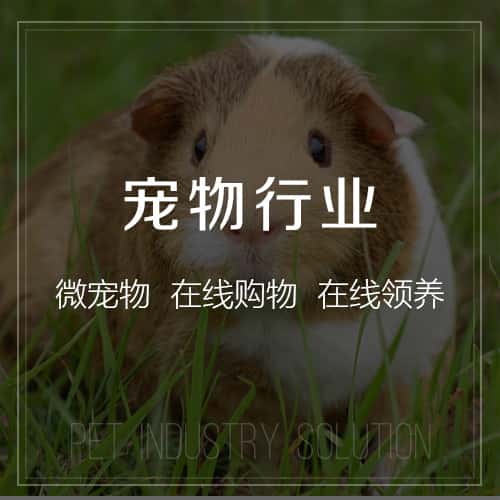 萍乡宠物