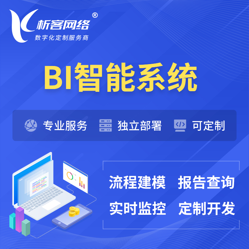 萍乡BI智能系统 | BI数据可视化